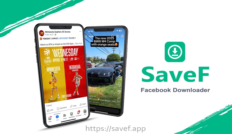 SaveF: Facebook Downloader